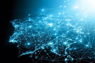 土味文化何以逆襲 從互聯(lián)網(wǎng)數(shù)據(jù)服務(wù)視角看青年審美轉(zhuǎn)向